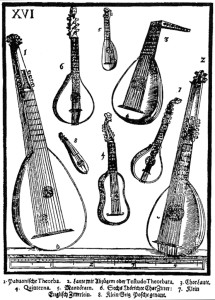 Theorbo and instruments of the guitar/lute family.